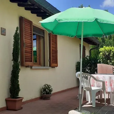 Il Pino - Cipresso * Gambassi Terme