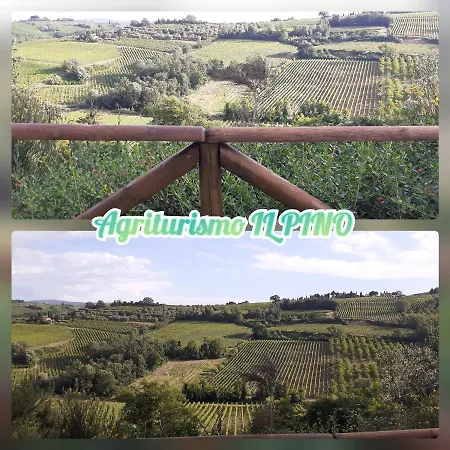 Il Pino - Cipresso * Gambassi Terme