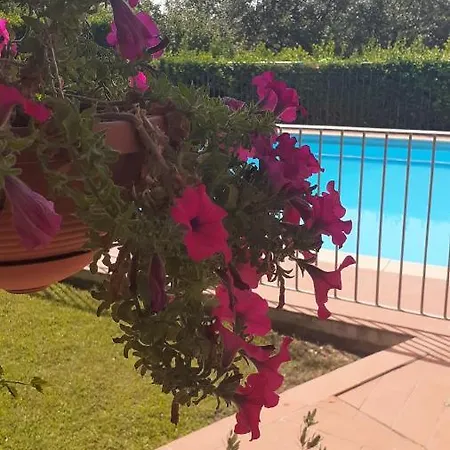 Il Pino - Cipresso * Gambassi Terme