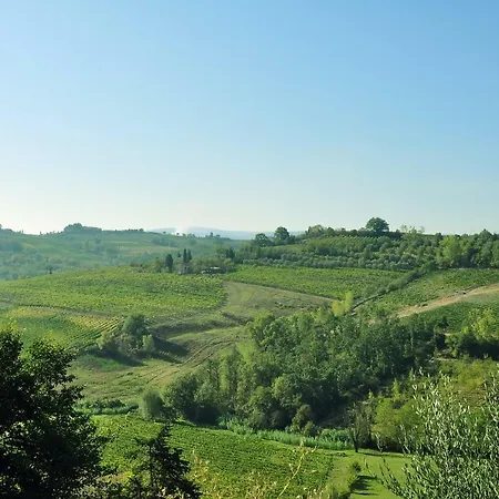 Il Pino - Cipresso Gambassi Terme