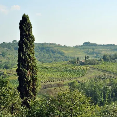 Il Pino - Cipresso Apartment