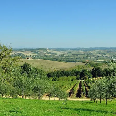Il Pino - Cipresso *