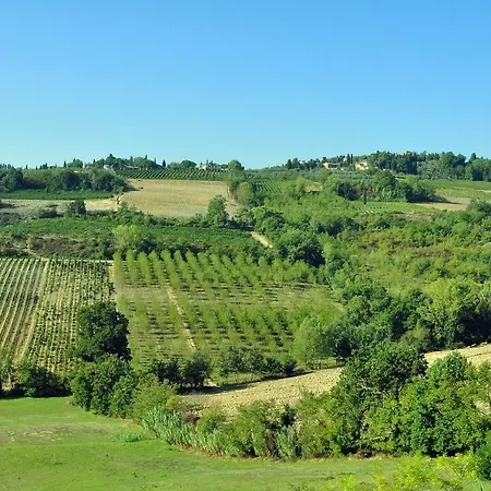 Il Pino - Cipresso